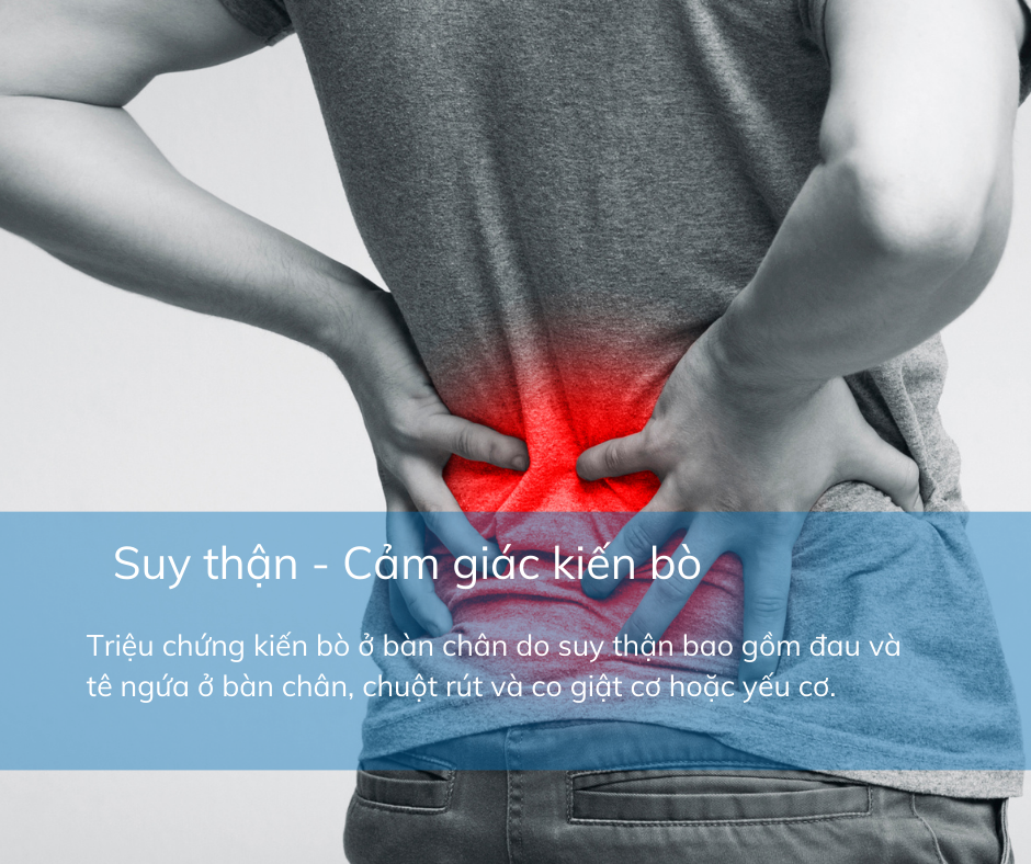 CảM GiáC KiếN Bò ở LòNg ChâN Có Thể CảNh BáO BệNh Lý MãN TíNh Nguy HiểM - ẢNh 6.