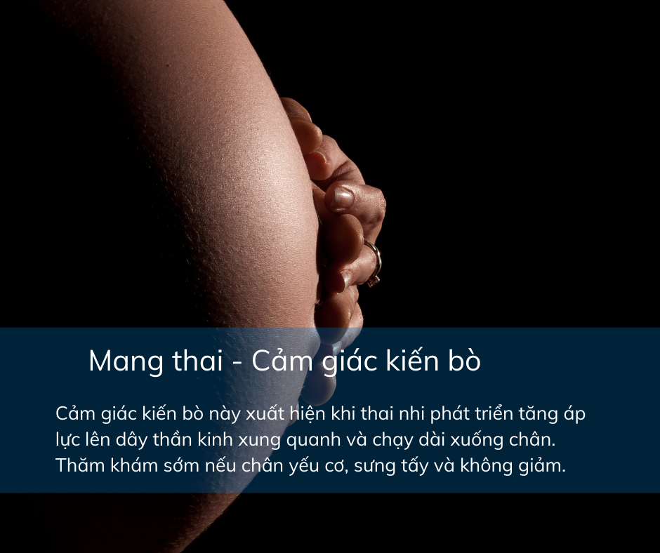 CảM GiáC KiếN Bò ở LòNg ChâN Có Thể CảNh BáO BệNh Lý MãN TíNh Nguy HiểM - ẢNh 10.