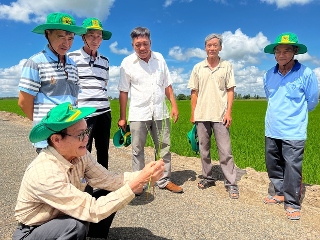 Doanh NghiệP PhâN BóN KhuyếN CáO NôNg DâN BóN íT HơN Và CâU ChuyệN PháT TriểN NôNg NghiệP BềN VữNg VùNg ĐồNg BằNg SôNg CửU Long - ẢNh 4.