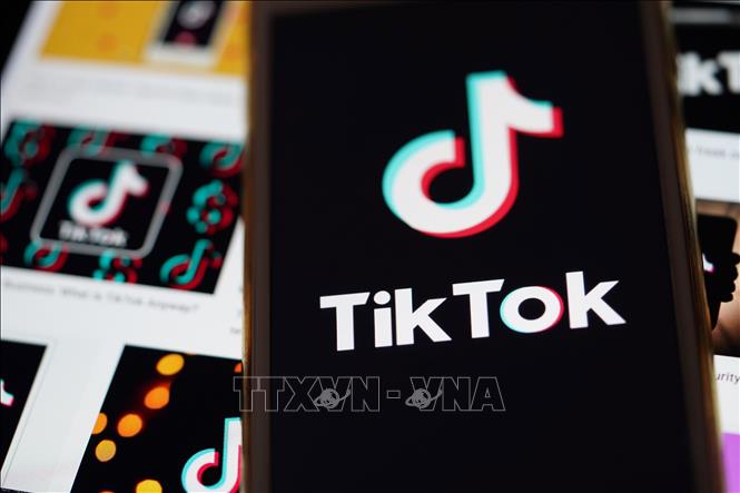 Sau Meta, đếN LượT Tiktok PhảN ứNg VớI ĐạO LuậT CáC Thị TrườNg Số CủA Eu - ẢNh 1.