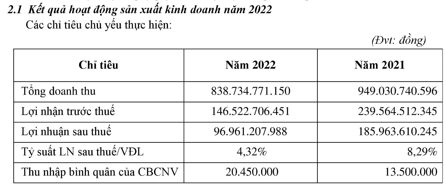 Dn BĐS VừA Cho ToàN Bộ NhâN ViêN Nghỉ KhôNg LươNg Chờ ViệC: Danh MụC HơN 30 Dự áN đắC địA TạI Tp.hcm, Doanh Thu 1.000 Tỷ, CựU Chủ TịCh DíNh VòNg Lao Lý - ẢNh 7.